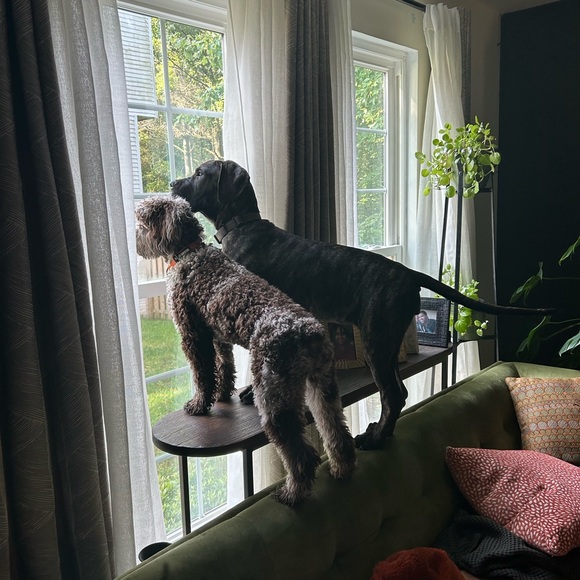 Meet your Posher, Lisa - Picture 5 of 9